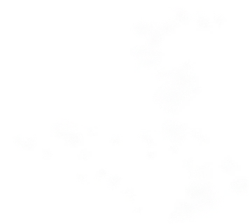Element clouds